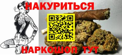 индика Ногинск